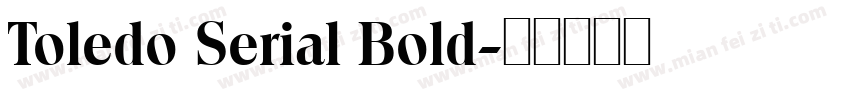 Toledo Serial Bold字体转换